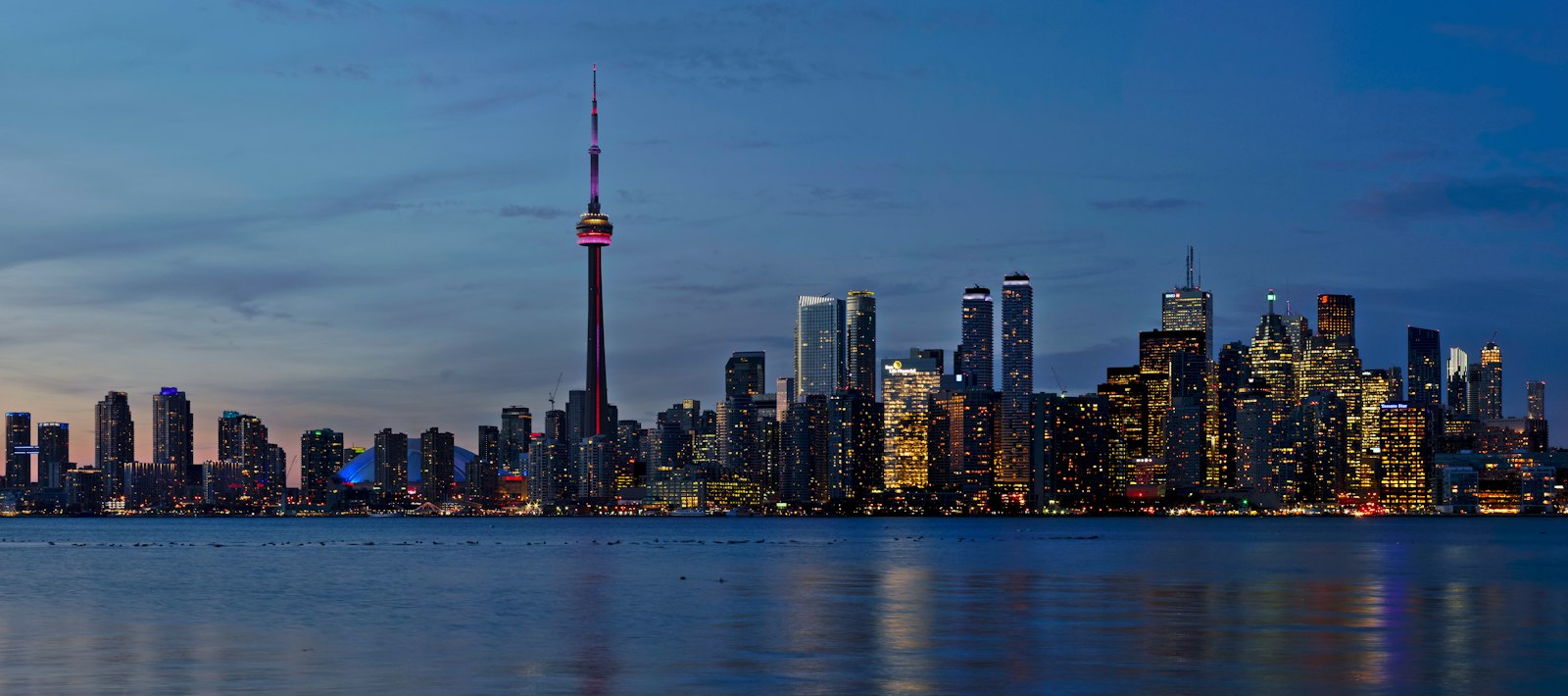 The CN Tower and Toronto skyline at night